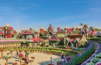 Dubai-Miracle-Garden Dubai-Miracle-Garden