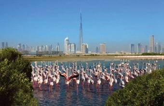 Wildlife-Sanctuary Wildlife Sanctuary